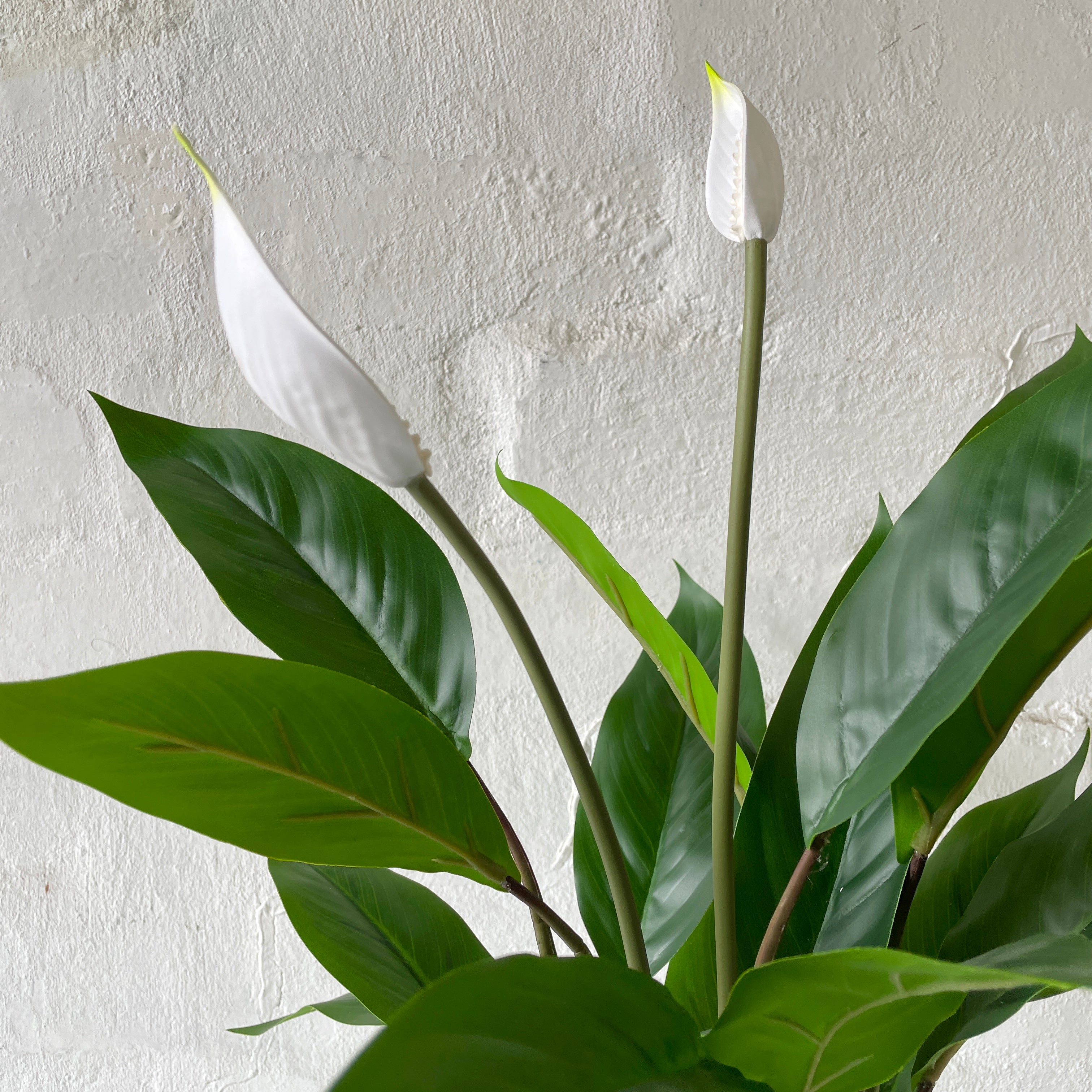 faux peace lily stems Artificial Peace Lily