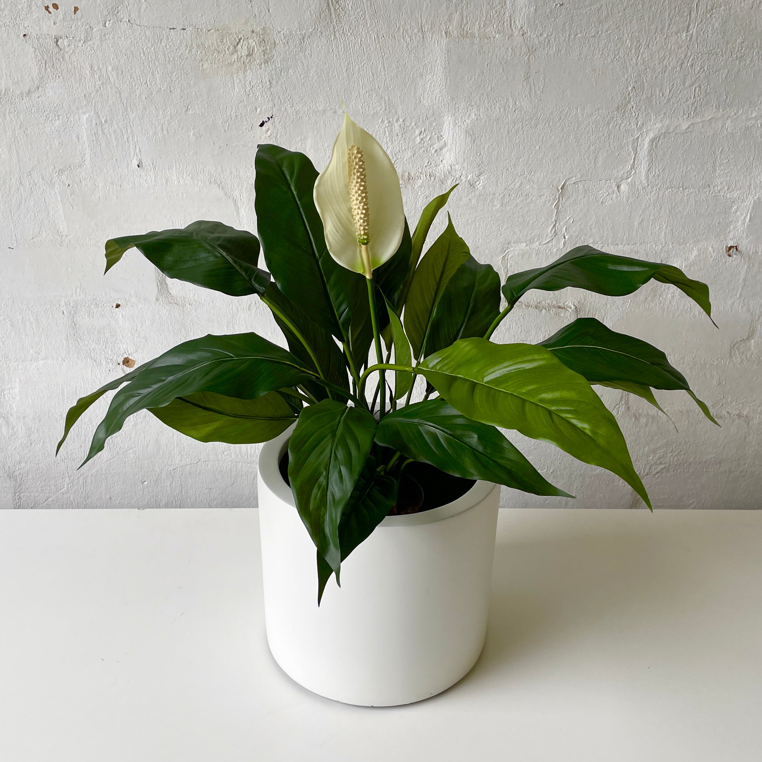 peace lily fake plant Artificial Peace Lily Plant
