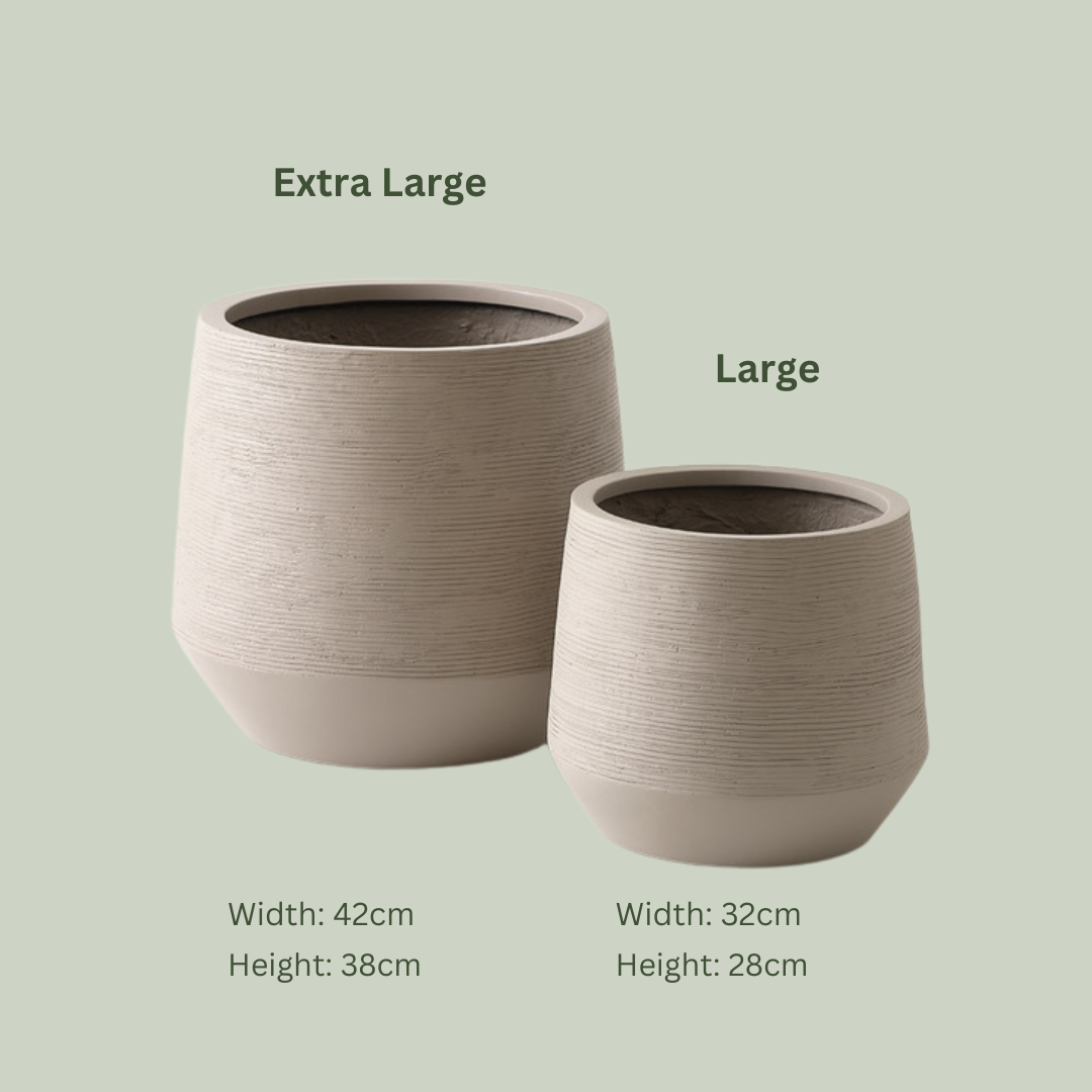 Lightweight Pedro Pot