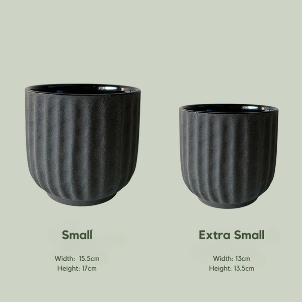 Peta Pot | Light Black