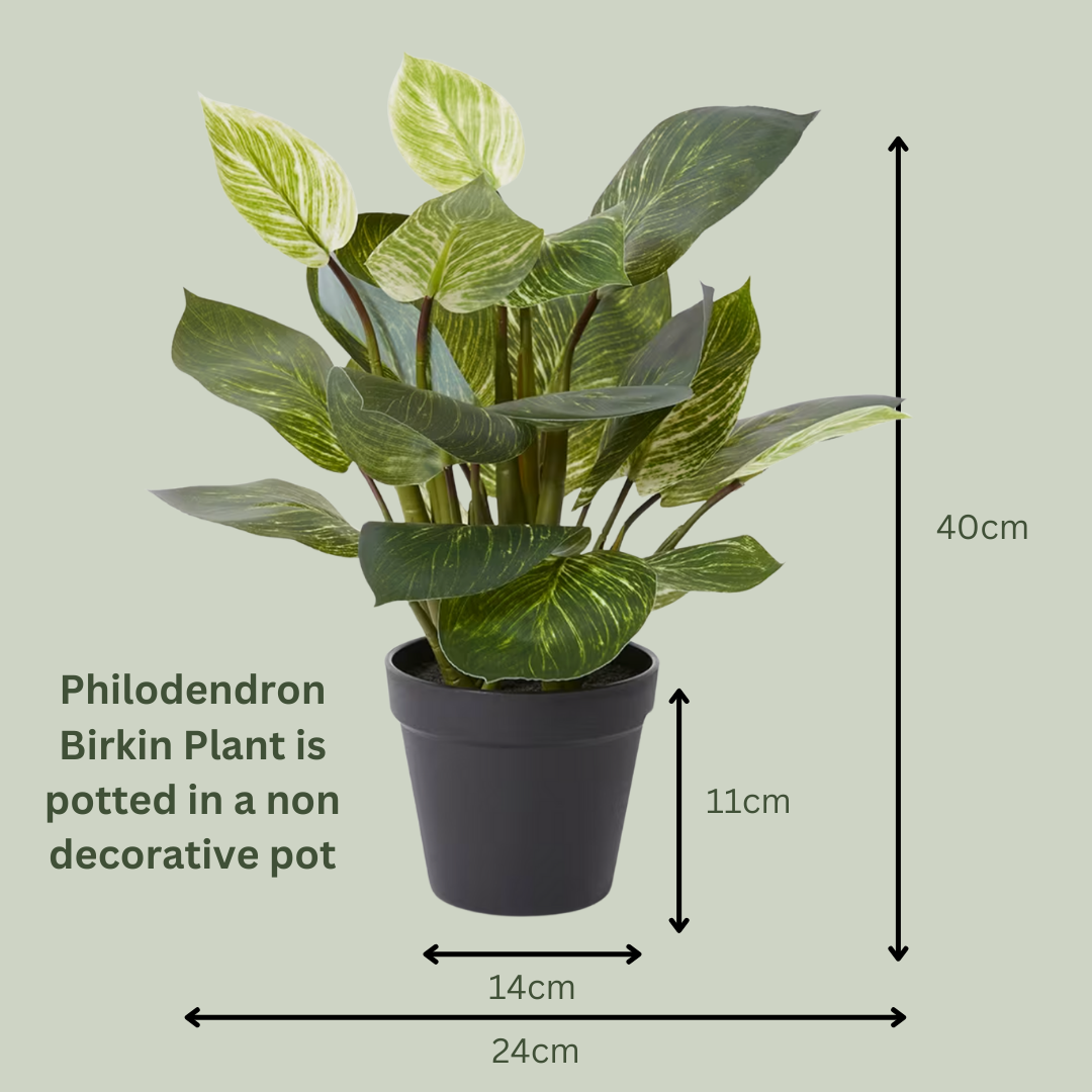 Artificial Philodendron Birkin Plant