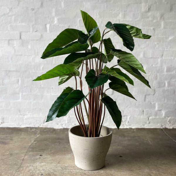 Artificial Philodendron Plant