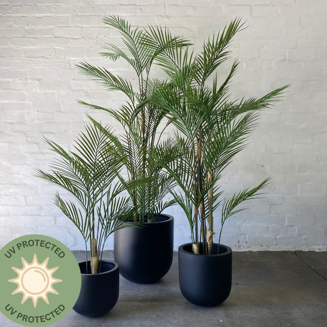 areca palm buy melbourne Artificial Areca Palm