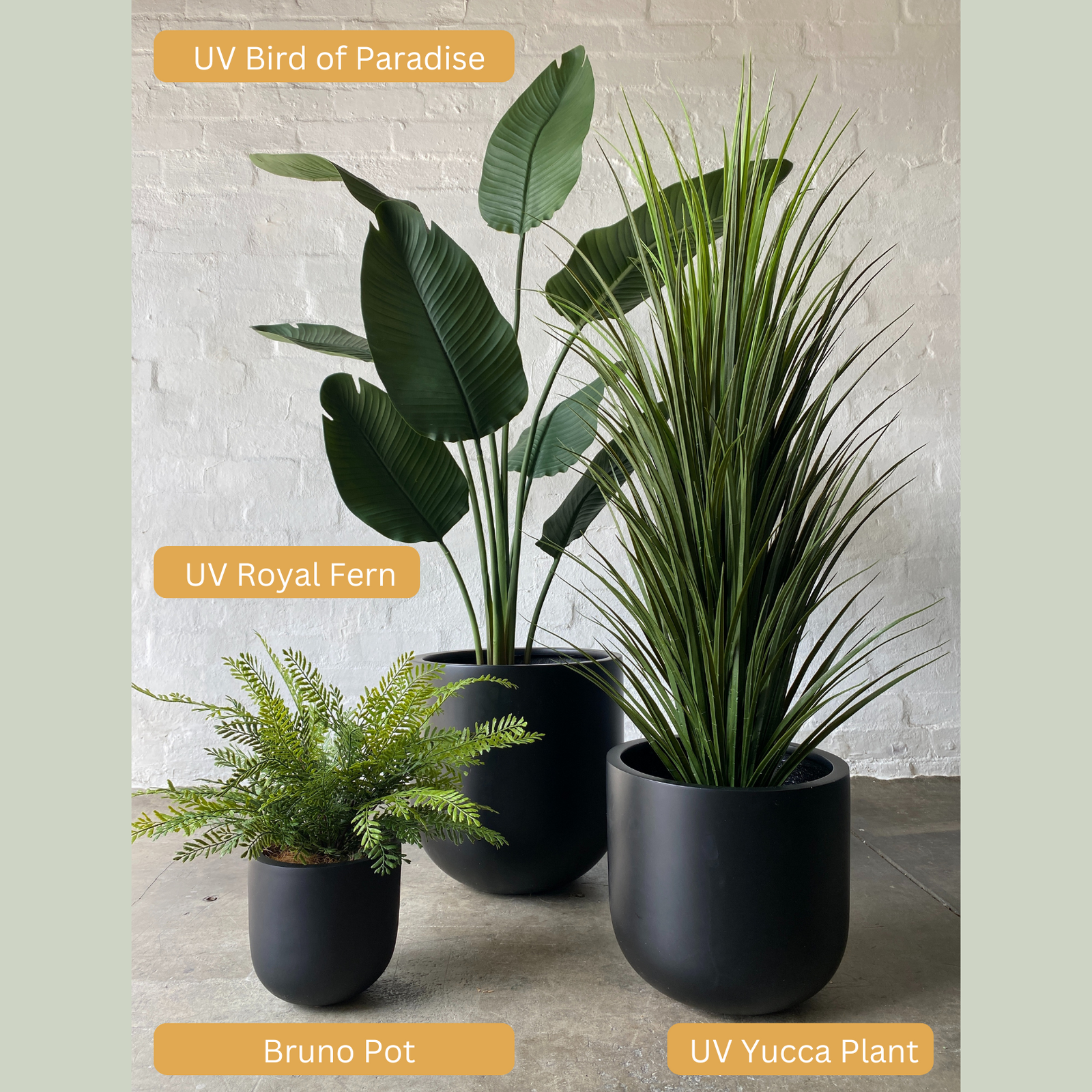 Lightweight Bruno Pot | Black