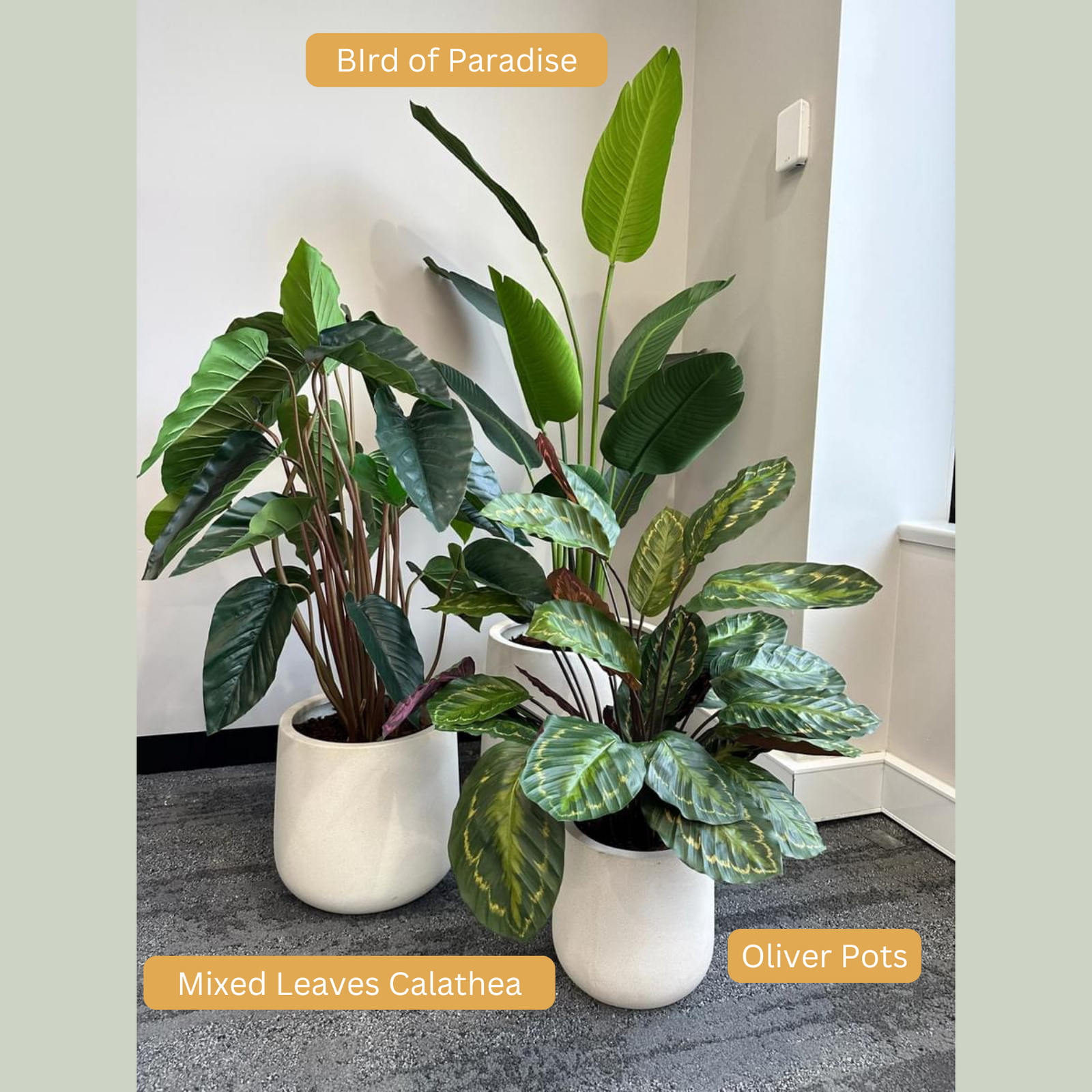 Artificial Bird of Paradise Plant