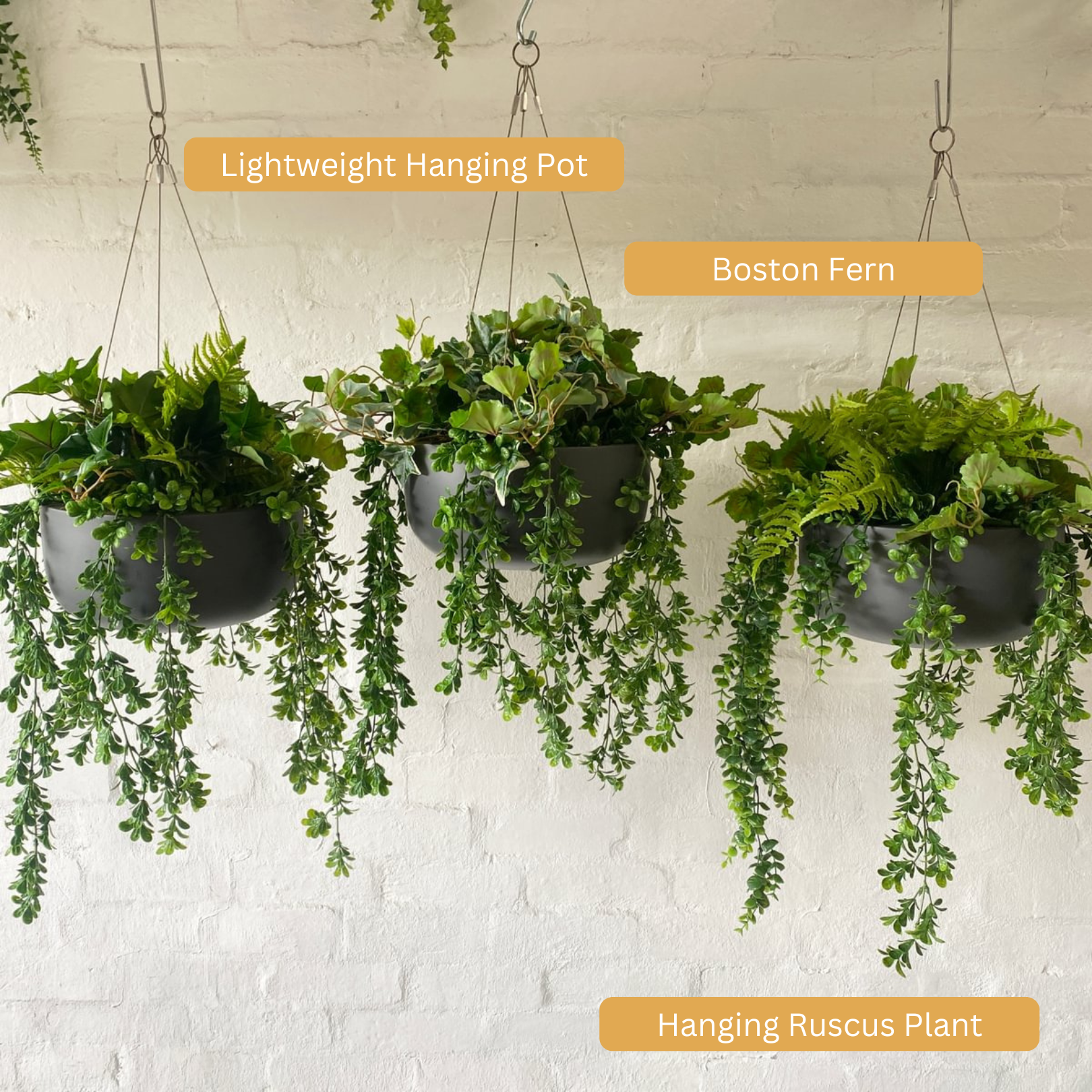 hanging plant pots australia Lightweight Black Hanging Pot for Plants