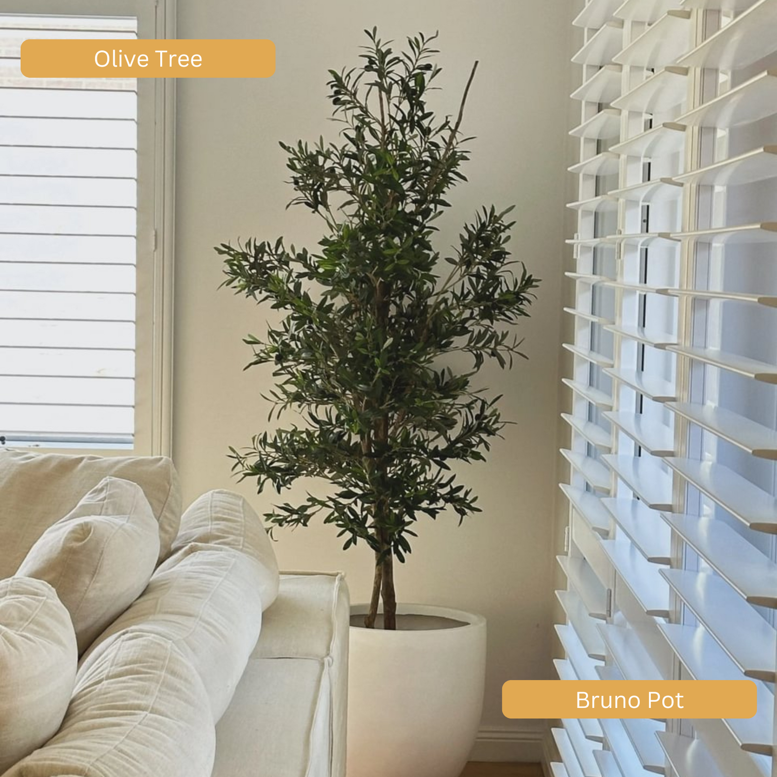 Lightweight Bruno Pot | White