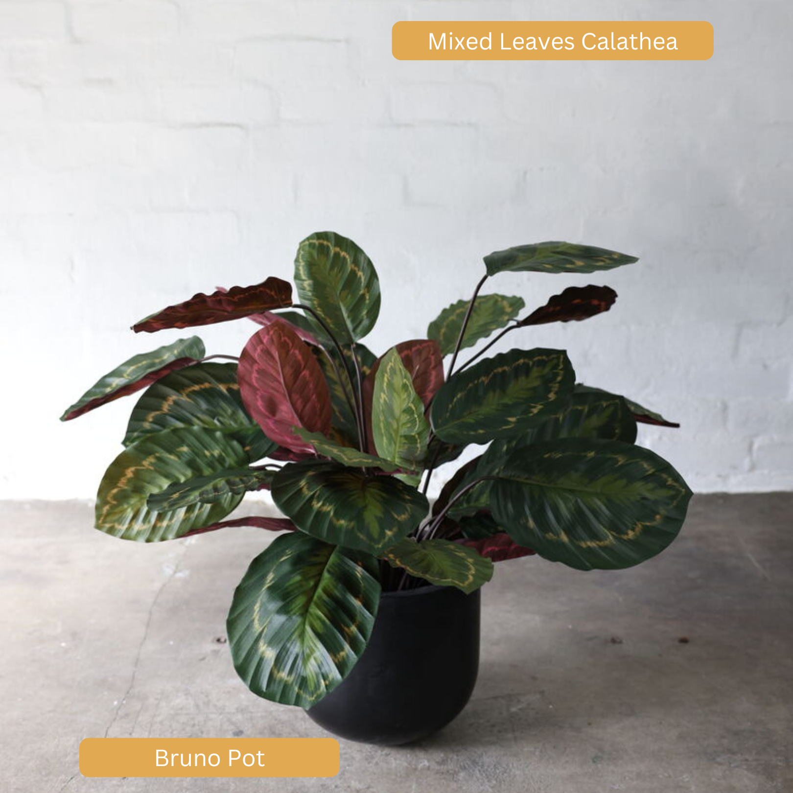 Lightweight Bruno Pot | Black