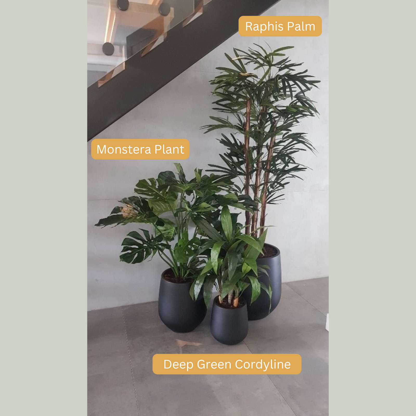 Artificial Raphis Palm Tree