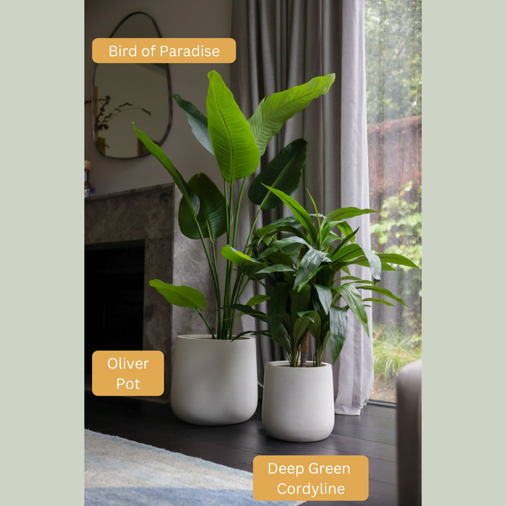 Artificial Cordyline Plant | Deep Green