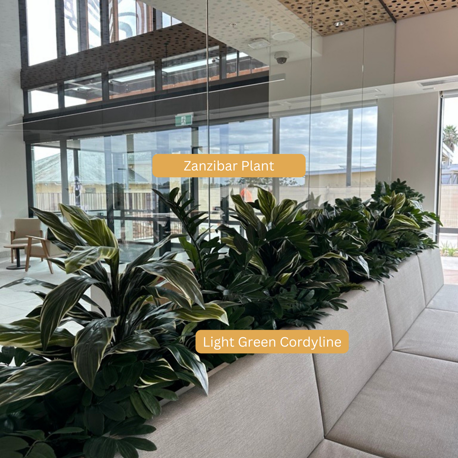 Artificial Zanzibar Plant