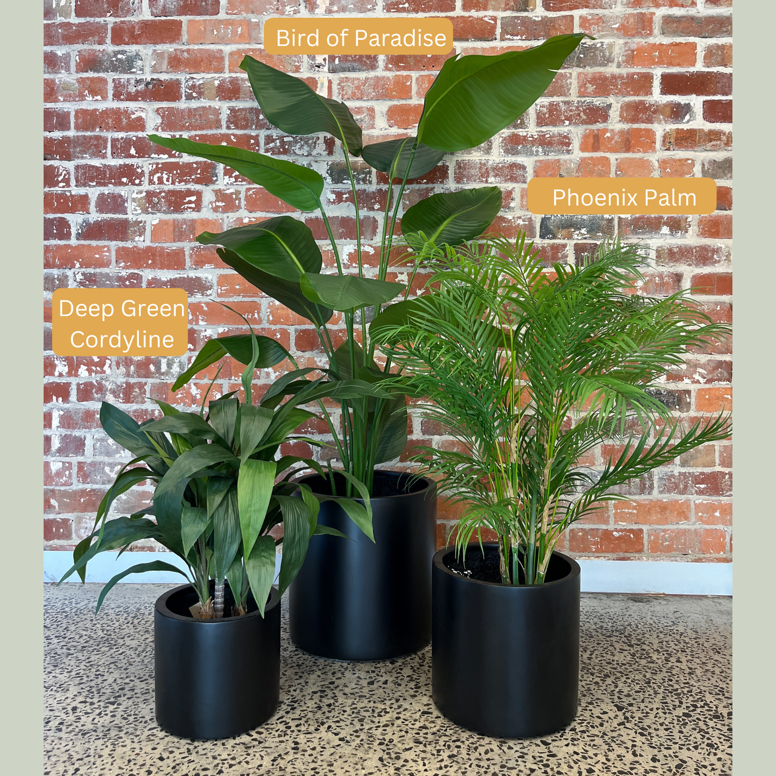 Artificial Bird of Paradise Plant