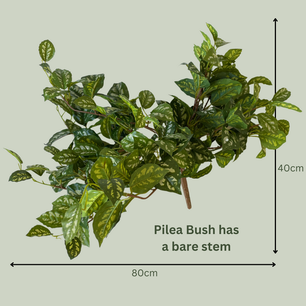 Artificial Pilea Bush