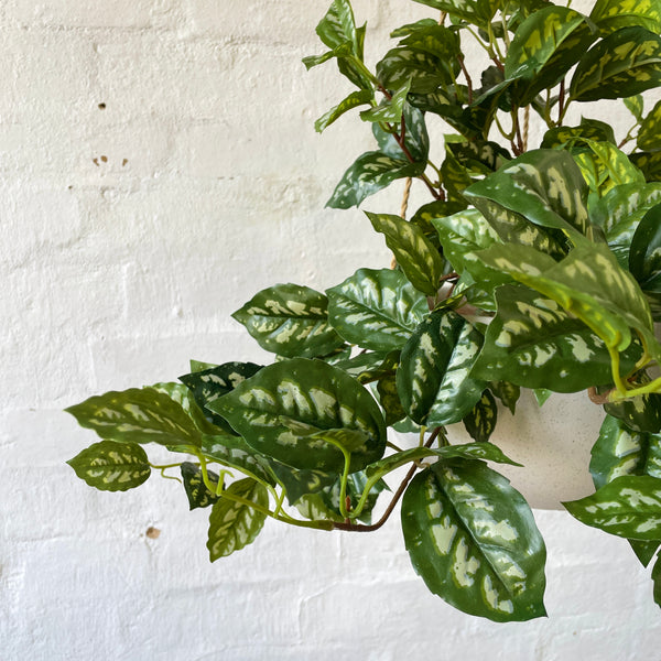 Artificial Pilea Bush