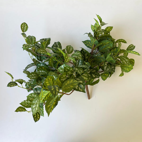 Artificial Pilea Bush