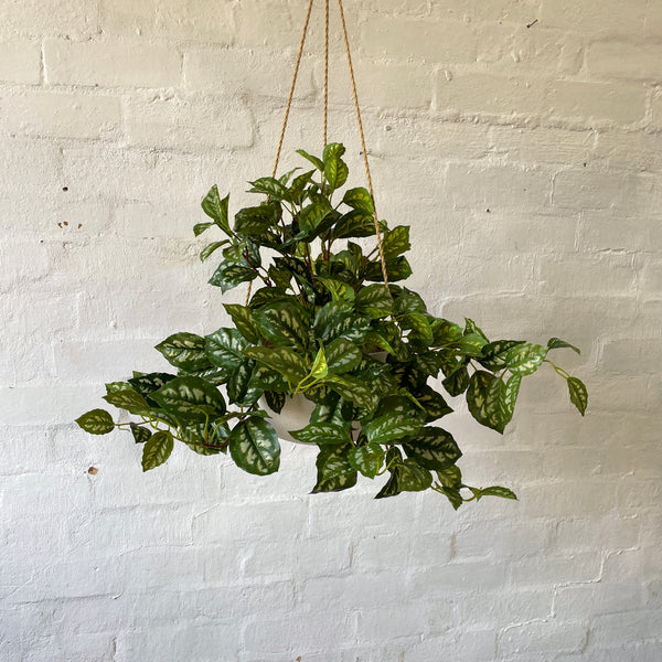 Artificial Pilea Bush