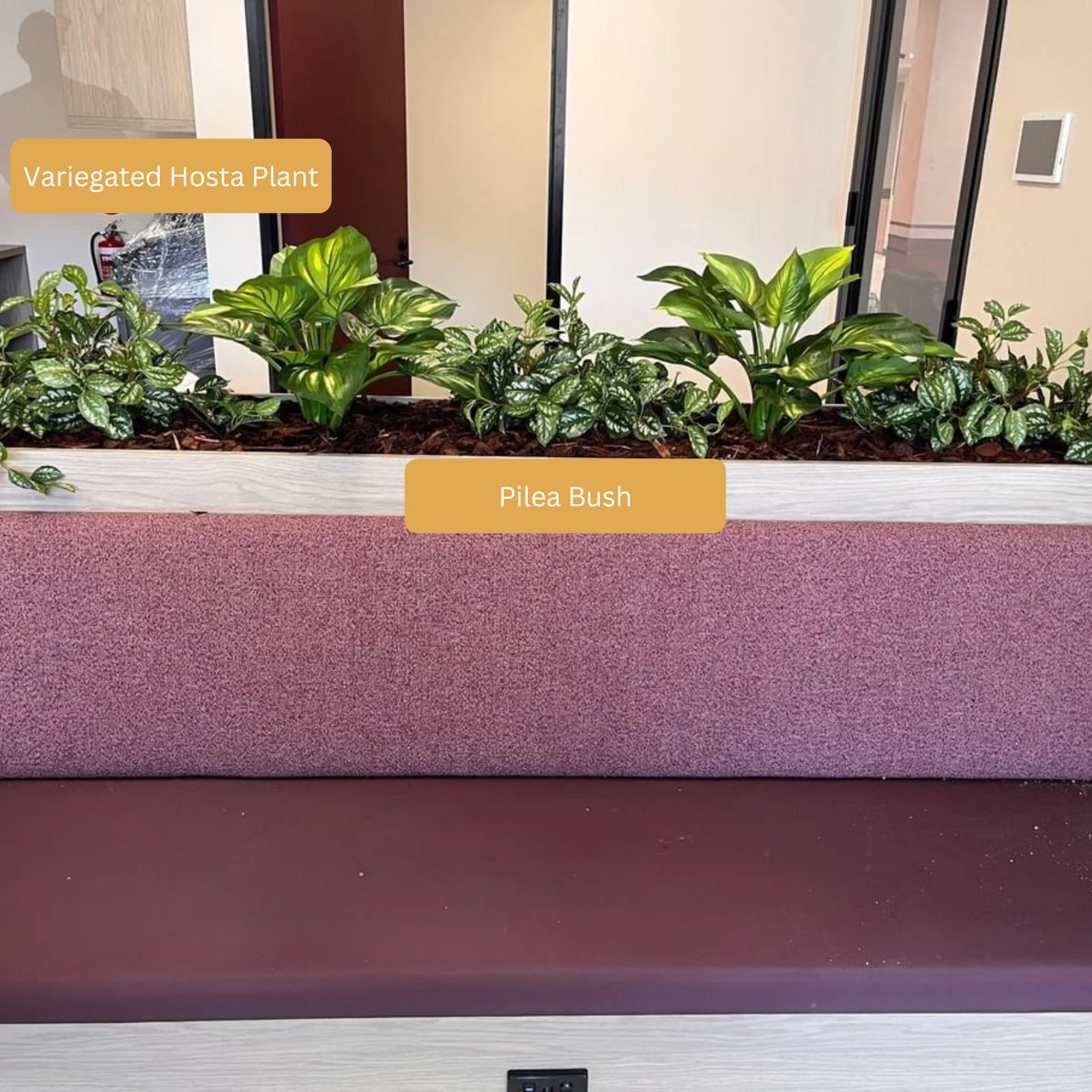 Artificial Variegated Hosta Plant