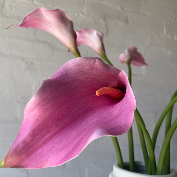 Artificial Pink Lilies | 7 Stems