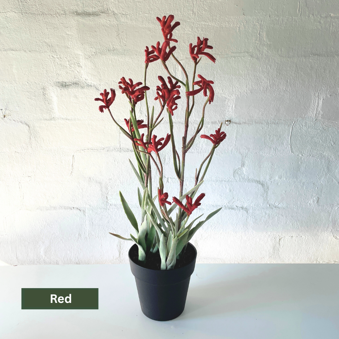 Artificial Kangaroo Paw