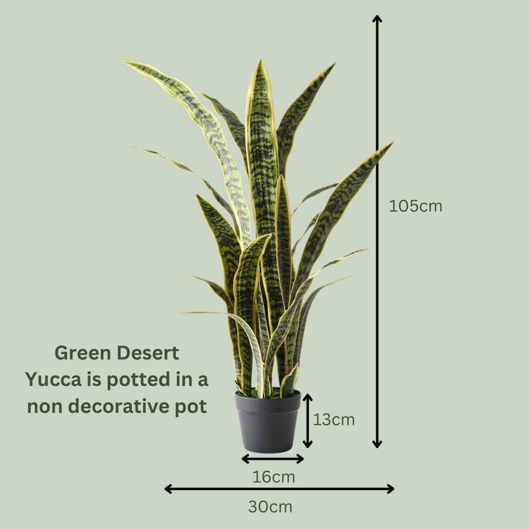 Artificial Large Sansevieria
