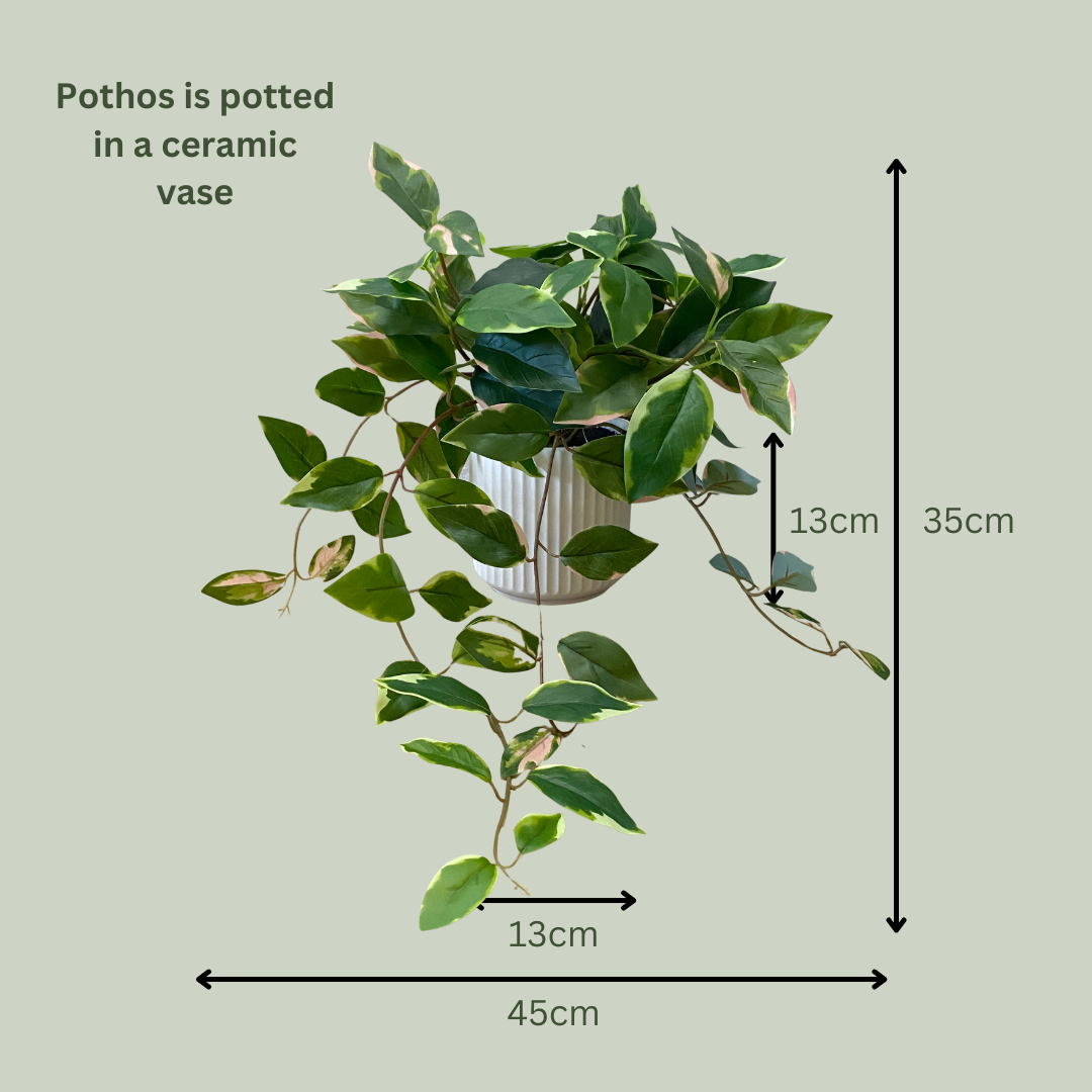 Artificial Pothos in Pot