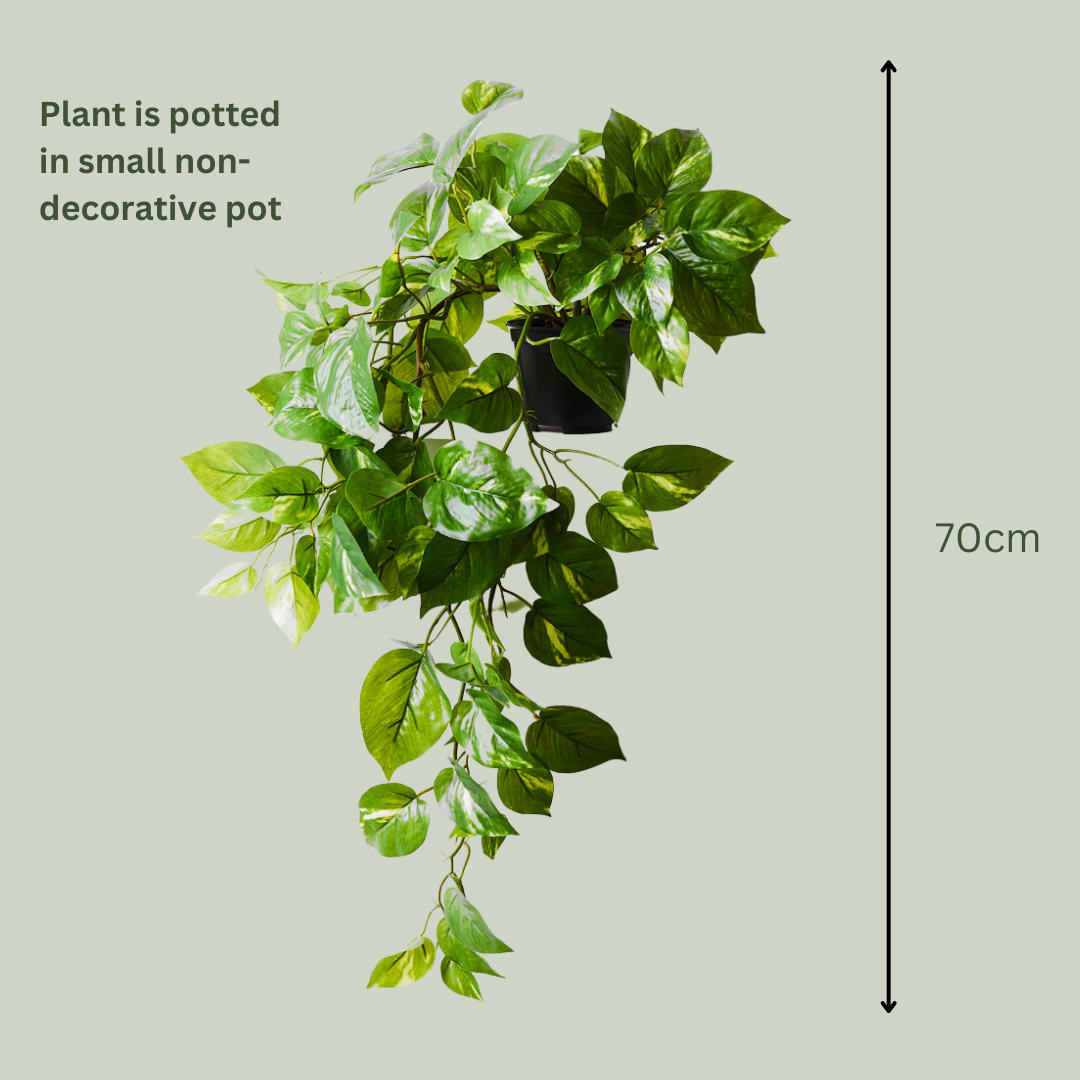 best faux pothos Artificial Pothos Plant