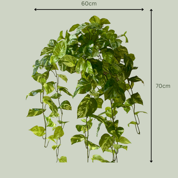 Artificial Hanging Pothos Queen