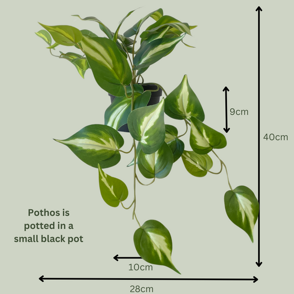 Artificial Pothos Queen | Small