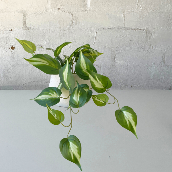 Artificial Pothos Queen | Small