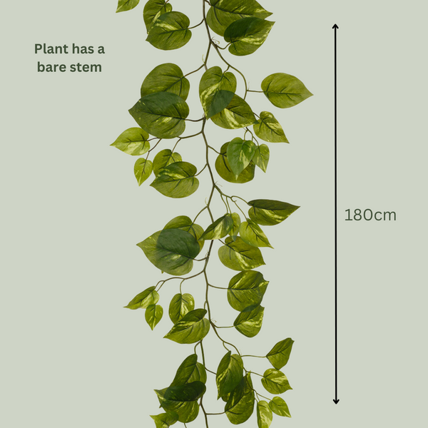 Artificial Pothos Vine