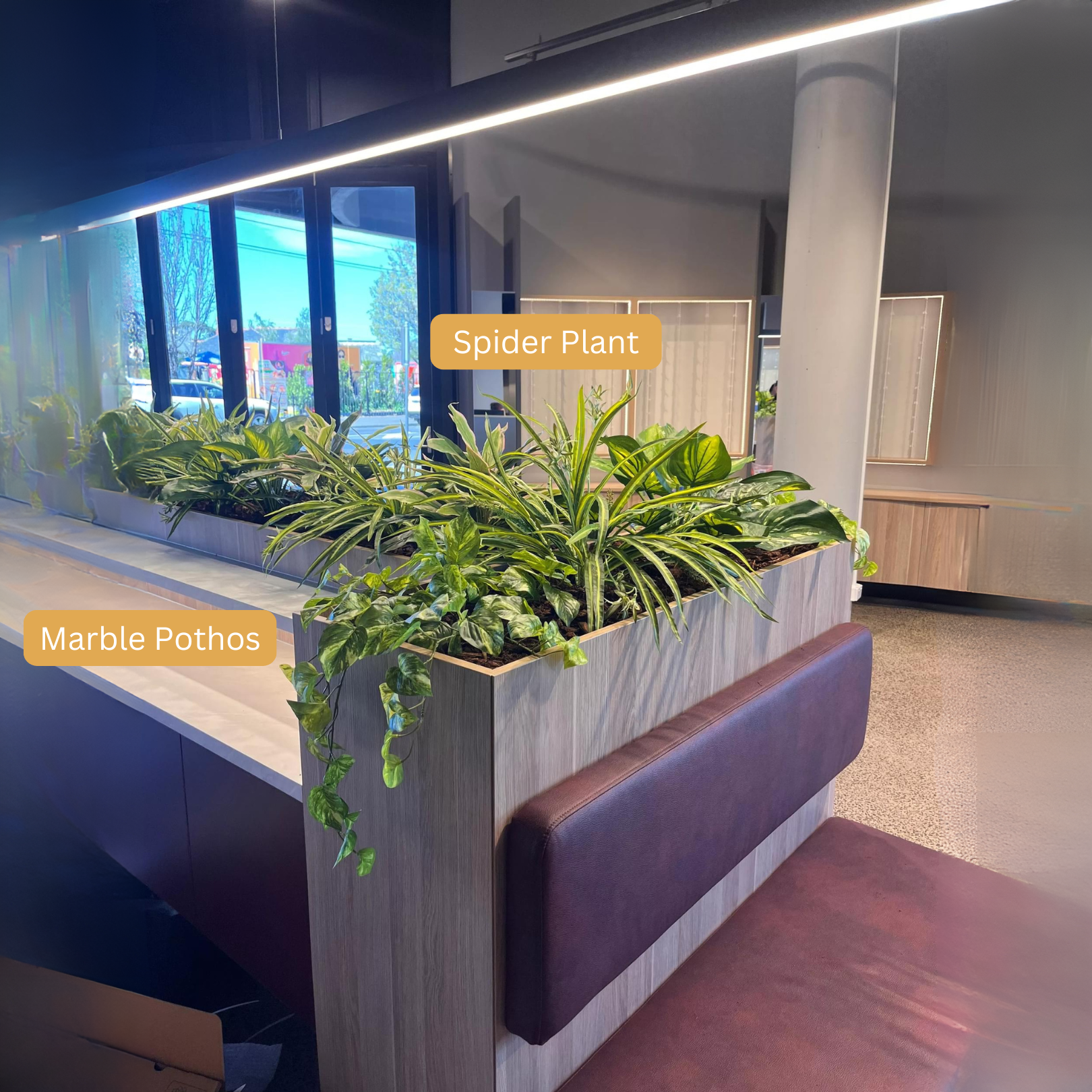Artificial Spider Plant