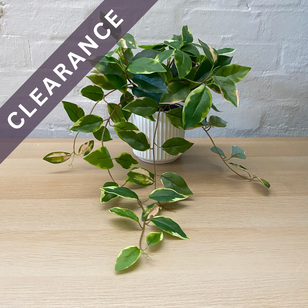 Artificial Pothos in Pot