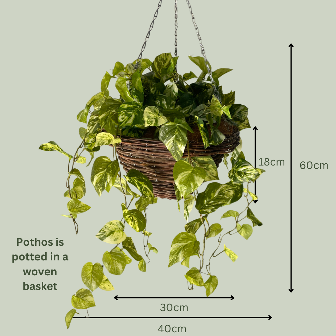 Artificial Pre Made Hanging Basket | Woven Basket with Pothos Plant