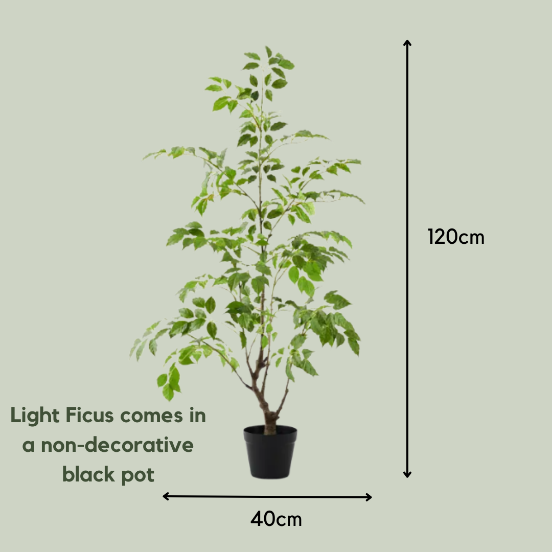Artificial Light Ficus Tree | 120cm