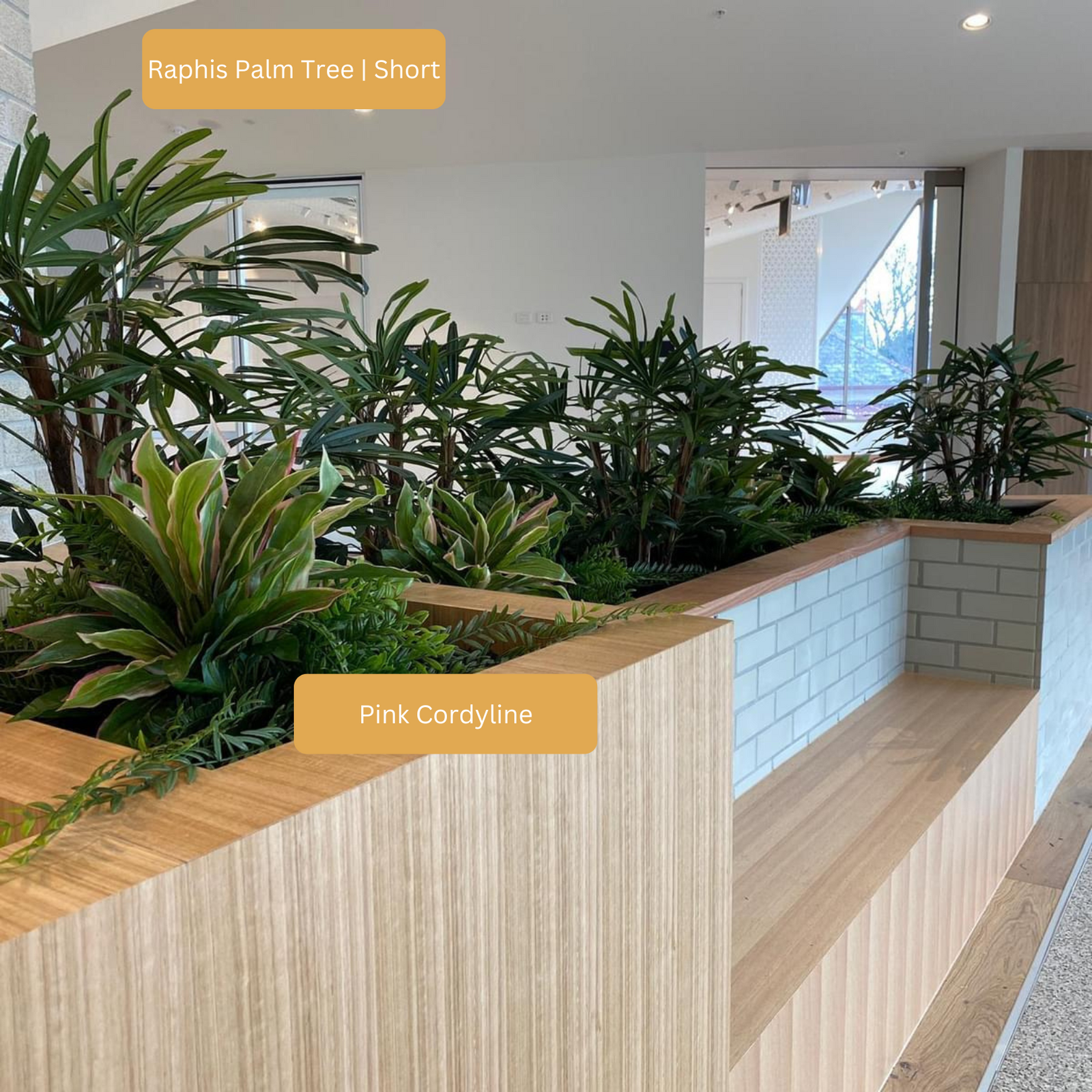 Artificial Raphis Palm Tree | Short