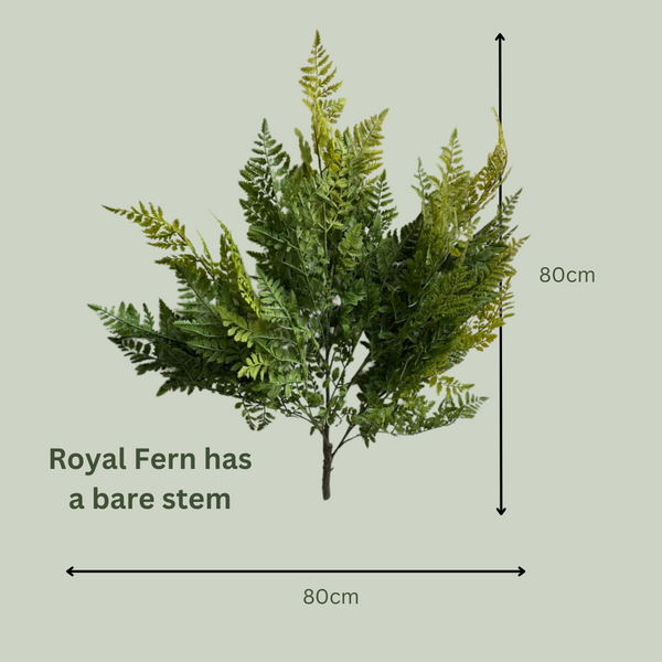 Artificial Royal Fern | Outdoor Plant