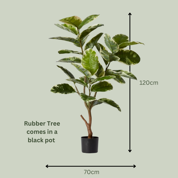 Artificial Rubber Tree | Green