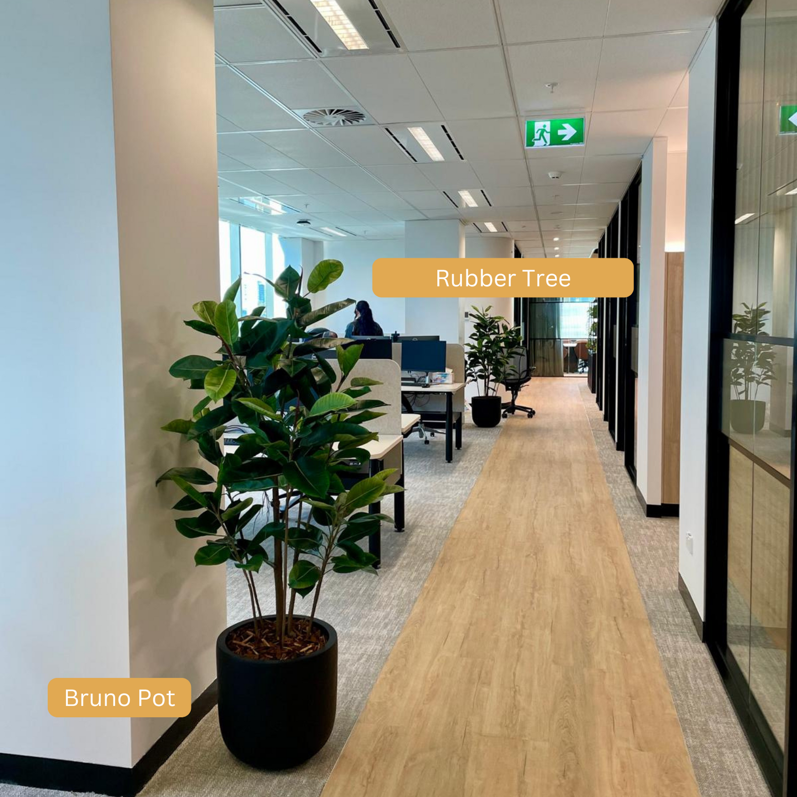 Lightweight Bruno Pot | Black