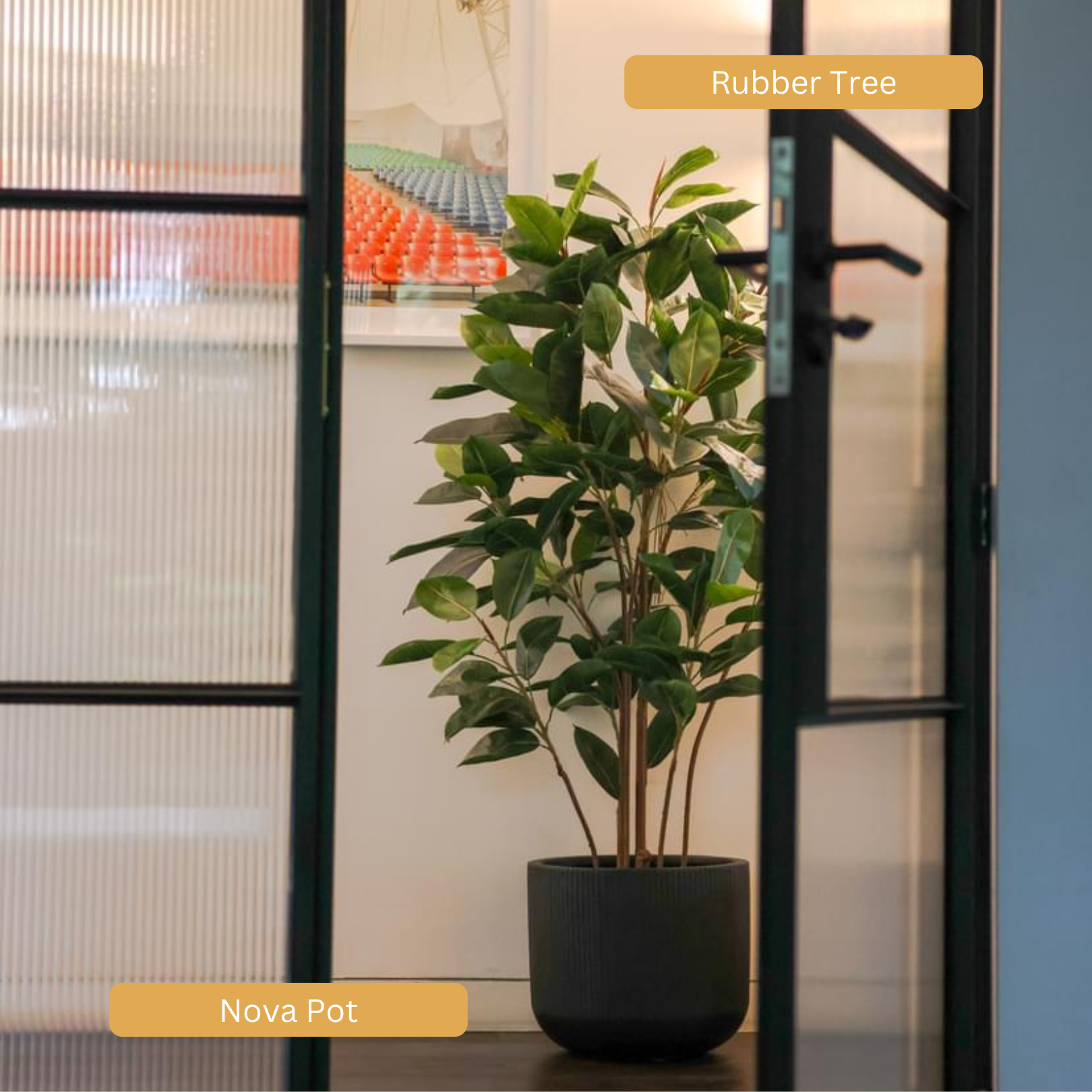 the sill faux rubber tree Artificial Rubber Tree