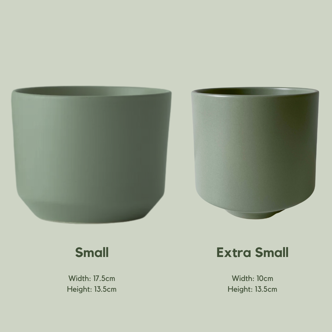Sansa Pot | Olive Green
