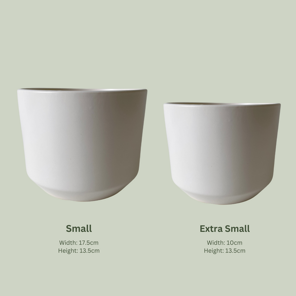 Sansa Pot | White