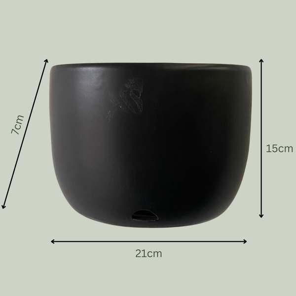 Scoop Ceramic Wall Planter | Black - The Plants Project