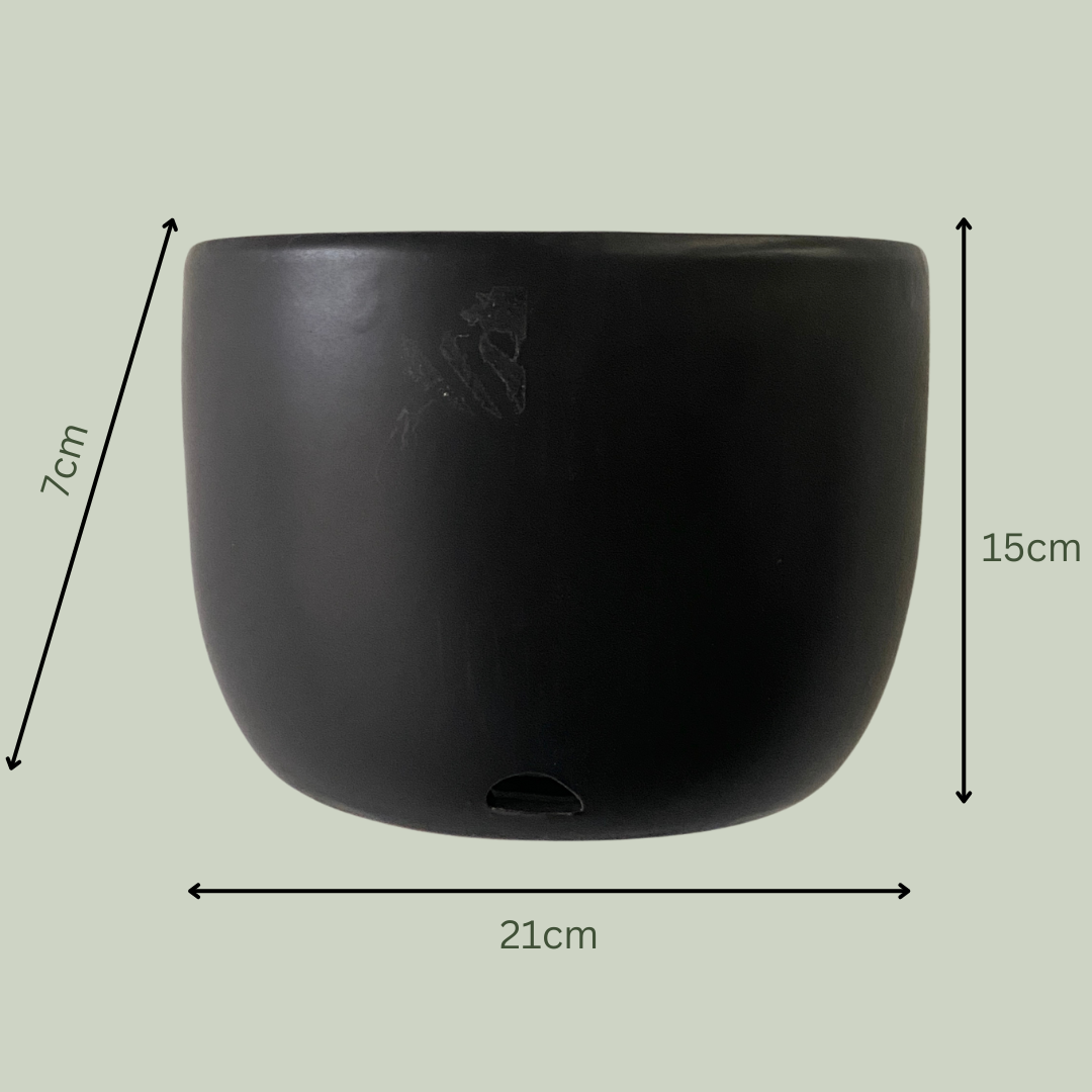 Scoop Ceramic Wall Planter | Black