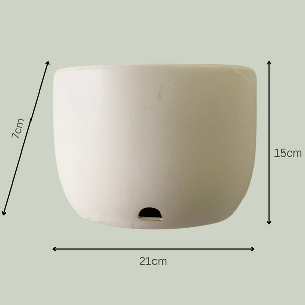 Scoop Ceramic Wall Planter | White