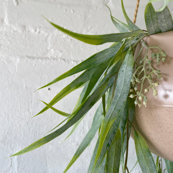 Artificial Hanging Seeded Gum | Green