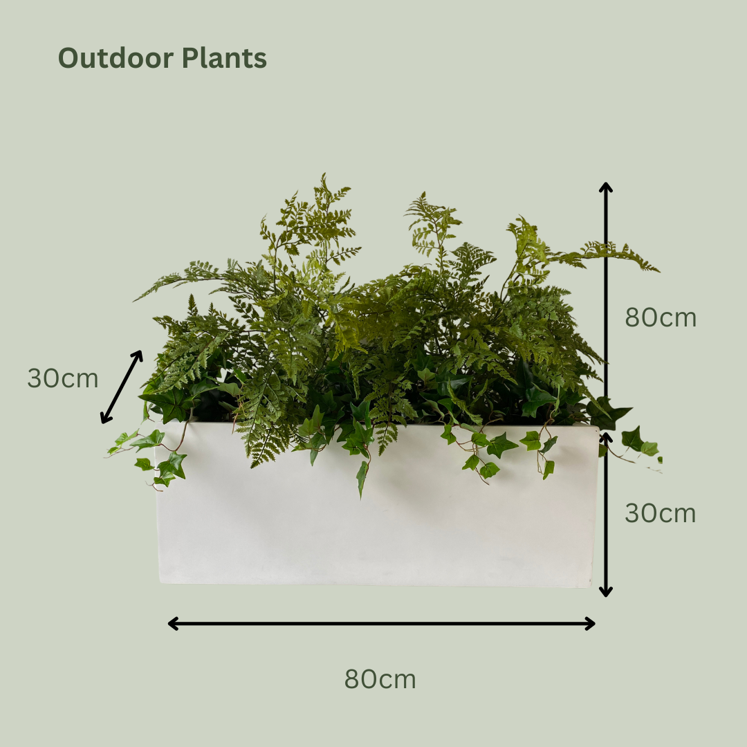 Artificial Plant Selection for Luca Troughs