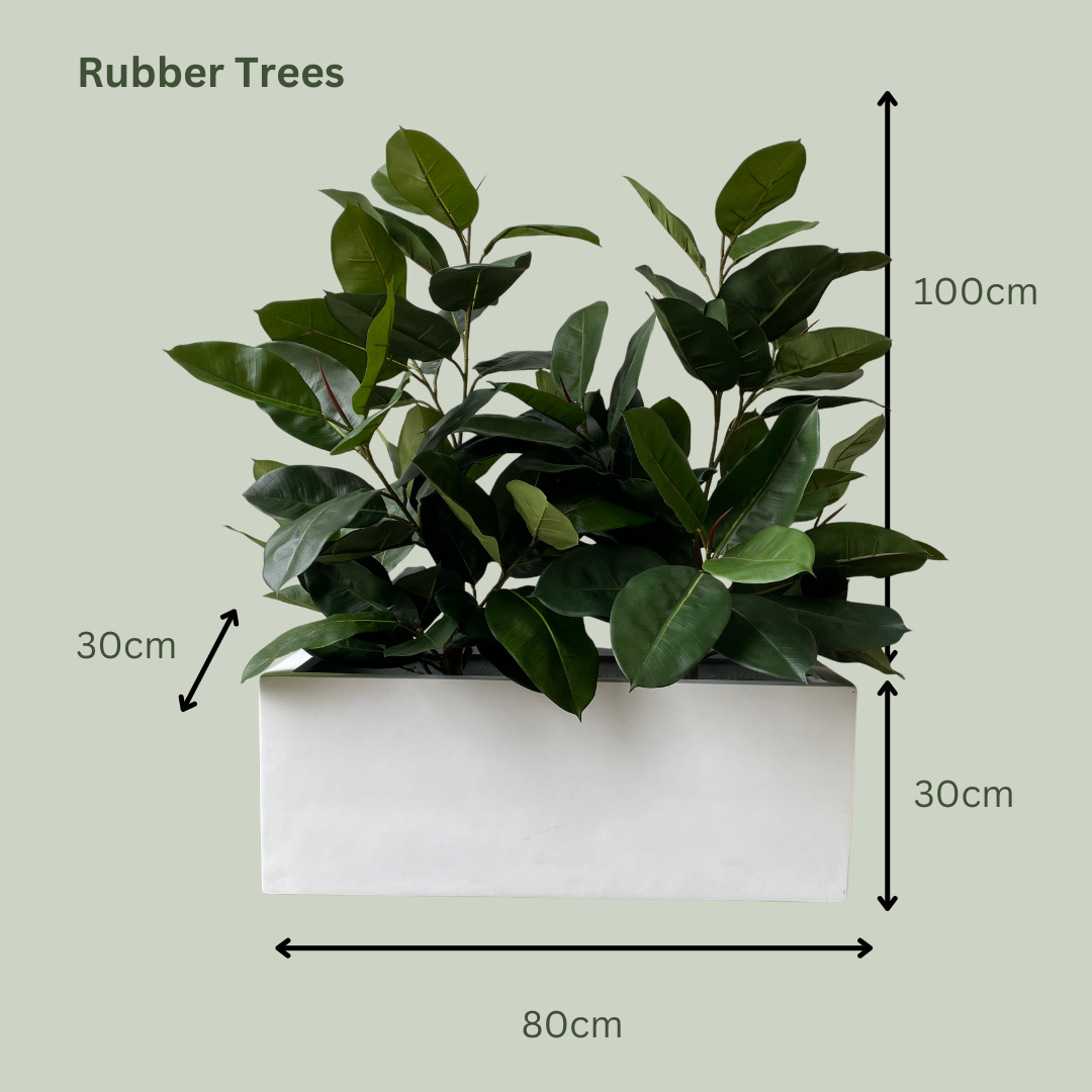 Artificial Plant Selection for Luca Troughs