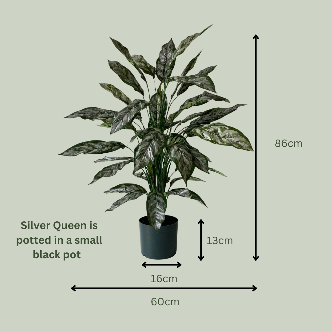 Artificial Silver Queen Plant