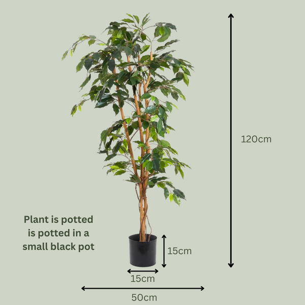 Artificial Small Ficus Tree