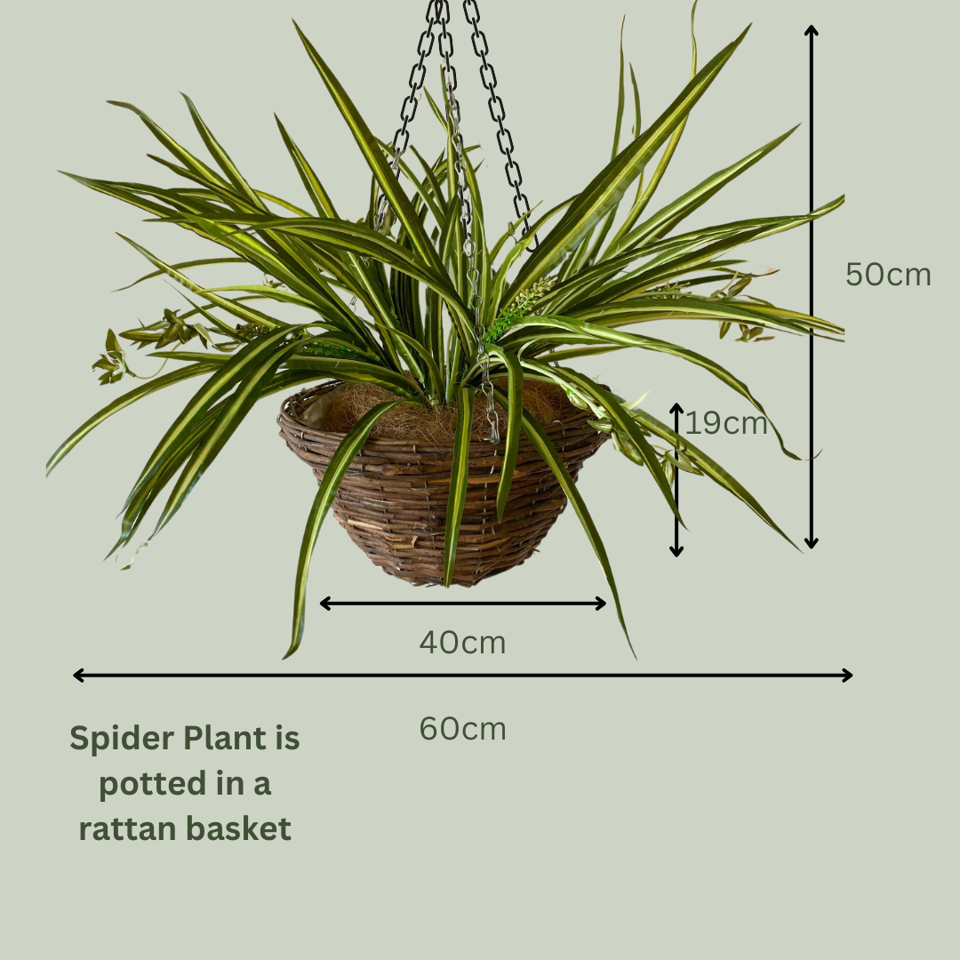 Artificial Pre Made Hanging Basket | Woven Basket with Spider Plant